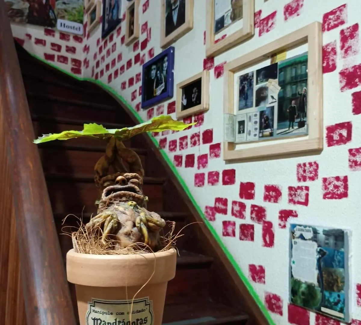 Hostel Trilhas E Rotas - A 150M Da Avenida Paulista São Paulo